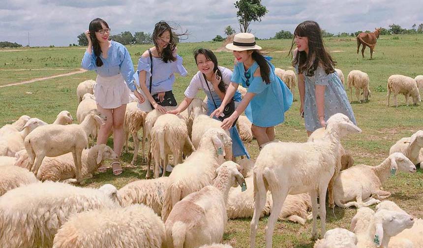 http://HANOI%20–%20HA%20LONG%20-%20HUE%20–%20ĐA%20NANG%20-%20HOI%20AN%20––%20NHA%20TRANG%20(08%20days%20–%2007%20nights)