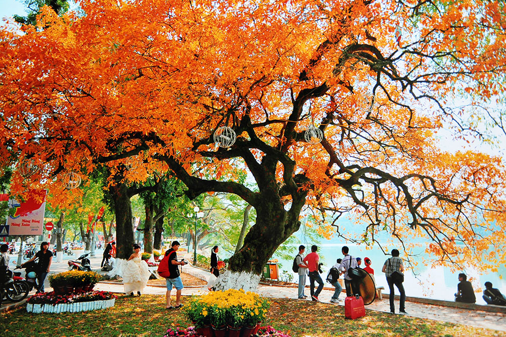 “Touching Autumn in Hanoi 2026” – bringing the colors of Hanoi’s autumn closer to visitors